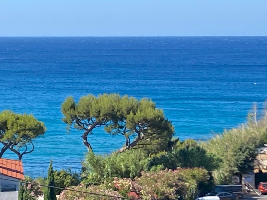 Face A La Mer, Cassis Et Son Cap Canaille Экстерьер фото